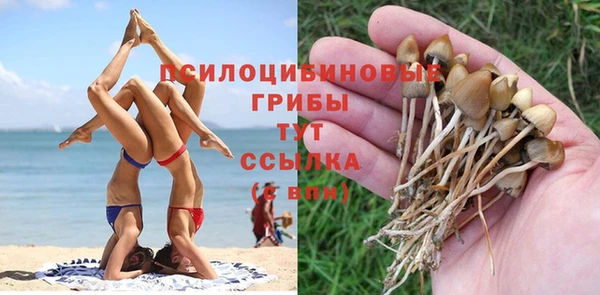 амф Дегтярск