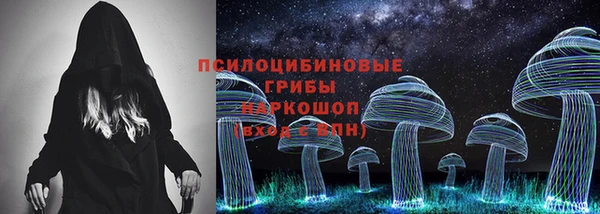 бутират Переславль-Залесский