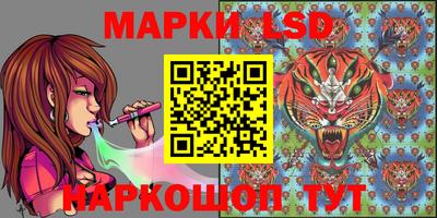 стаф Кандалакша