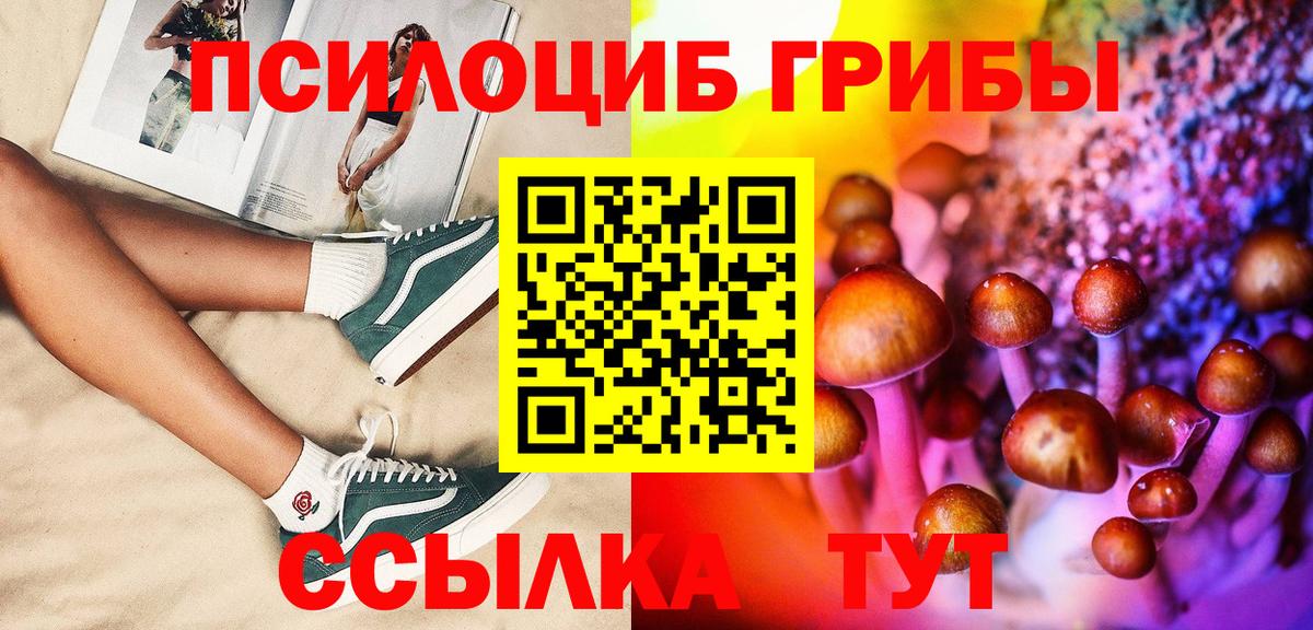 Псилоцибиновые грибы Psilocybe  Вход с VPN  Кострома  Псилоцибиновые грибы ЛСД 