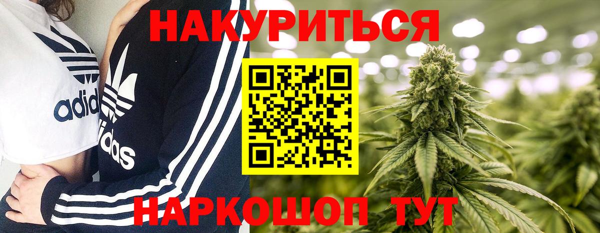 Шишки марихуана конопля  Марихуана ГИДРОПОН  Кострома  Вход с VPN  Канабис тримм  Канабис MAZAR 